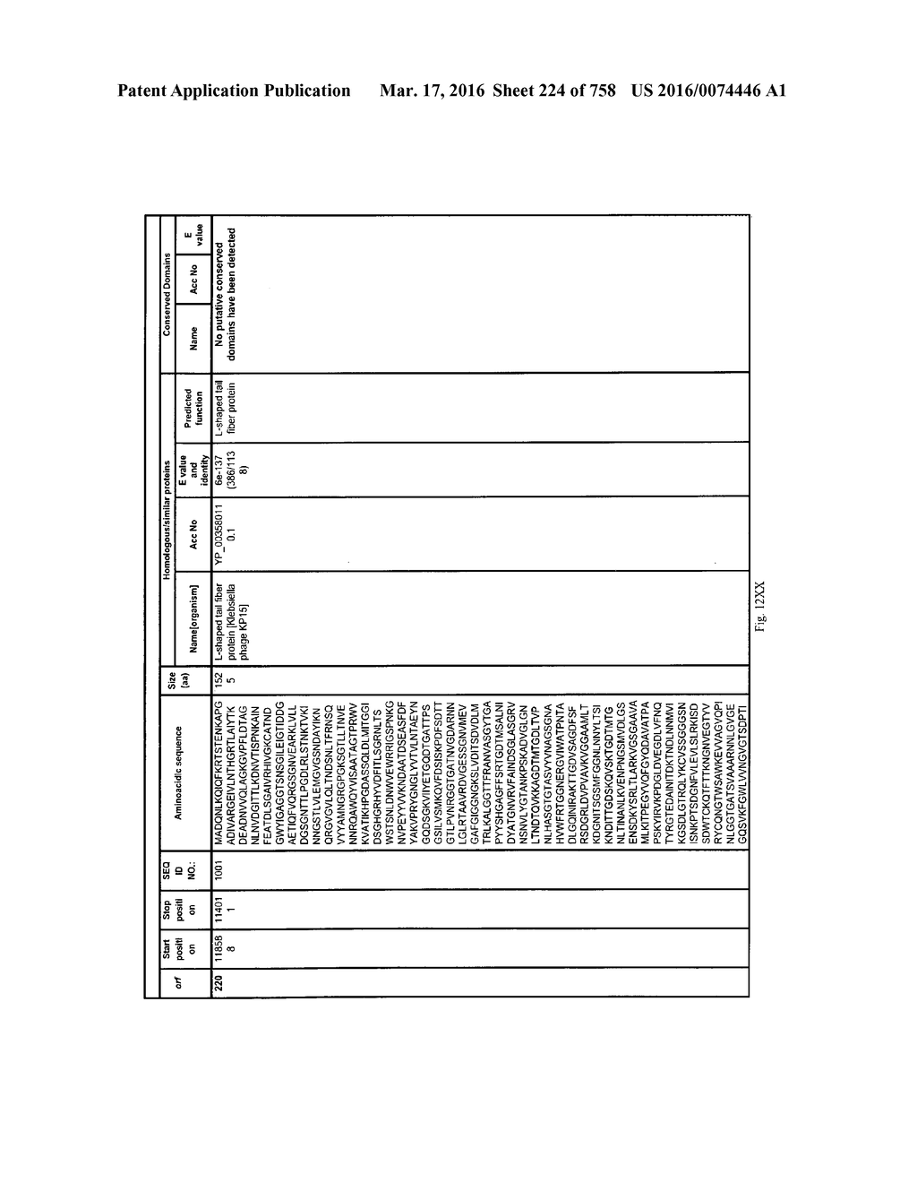 Antibacterial Phage, Phage Peptides And Methods Of Use Thereof - diagram, schematic, and image 225