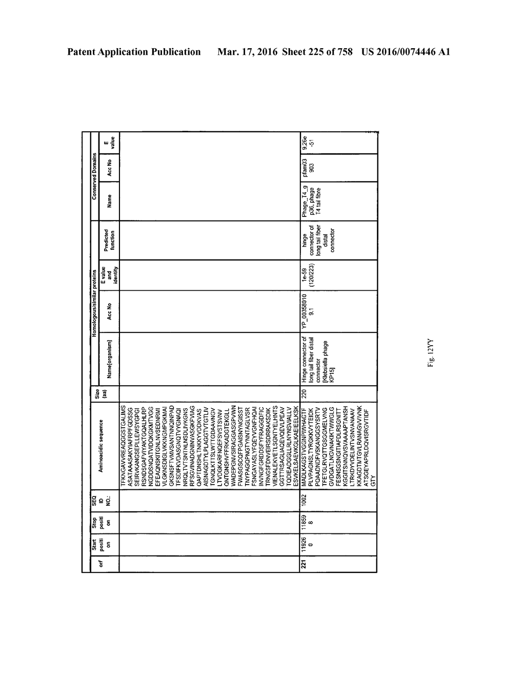 Antibacterial Phage, Phage Peptides And Methods Of Use Thereof - diagram, schematic, and image 226