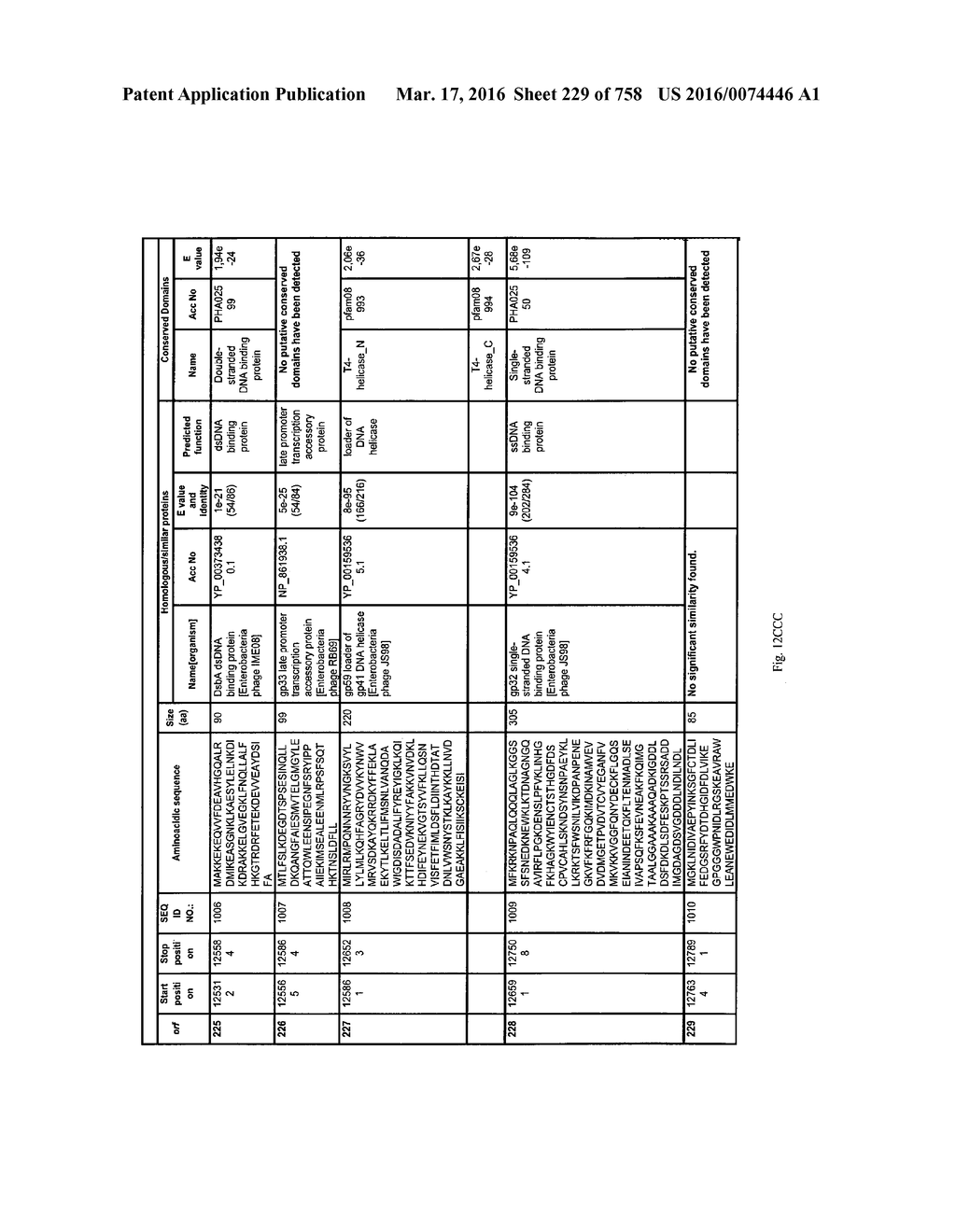 Antibacterial Phage, Phage Peptides And Methods Of Use Thereof - diagram, schematic, and image 230