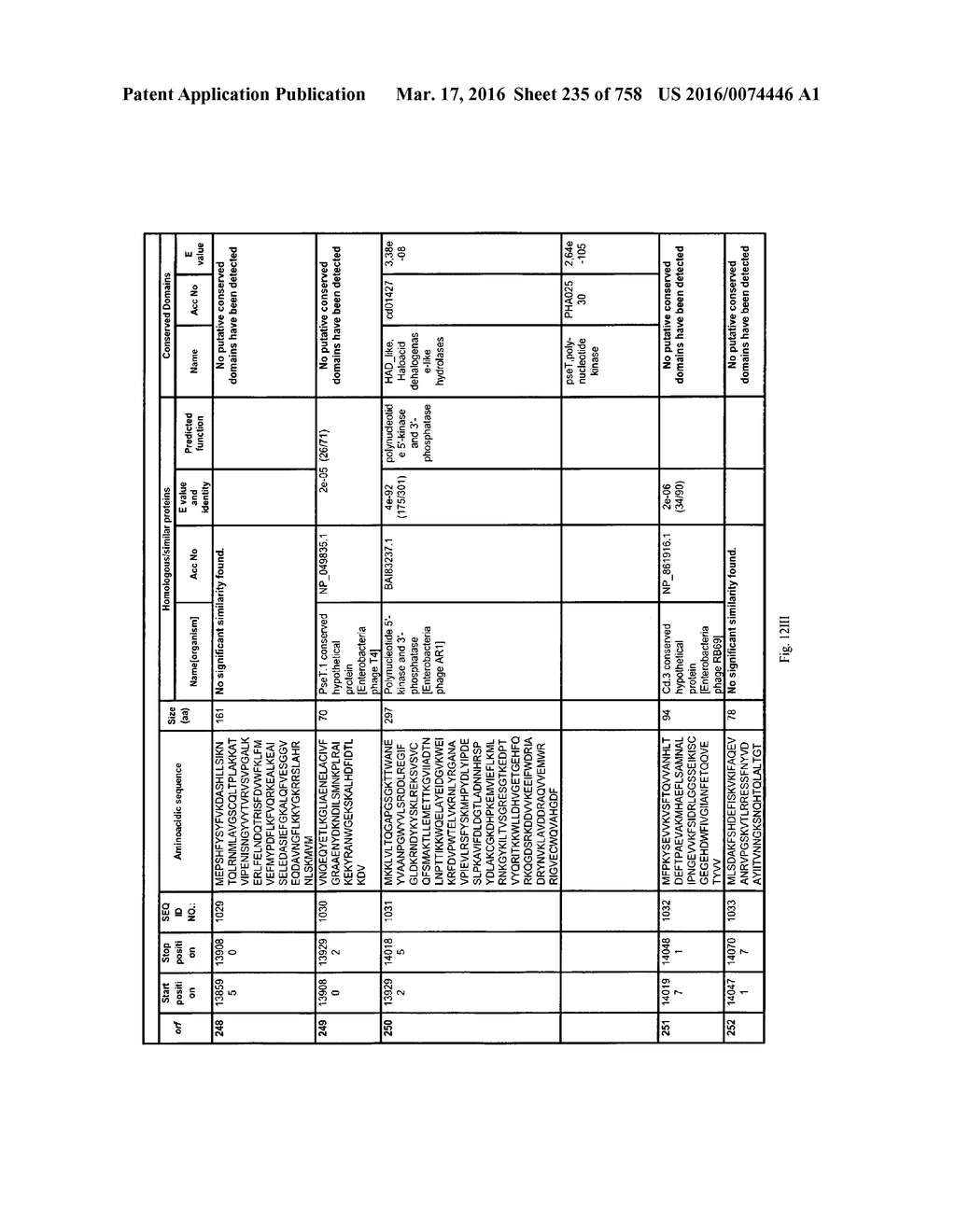 Antibacterial Phage, Phage Peptides And Methods Of Use Thereof - diagram, schematic, and image 236