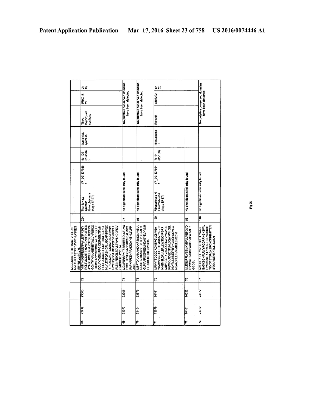 Antibacterial Phage, Phage Peptides And Methods Of Use Thereof - diagram, schematic, and image 24