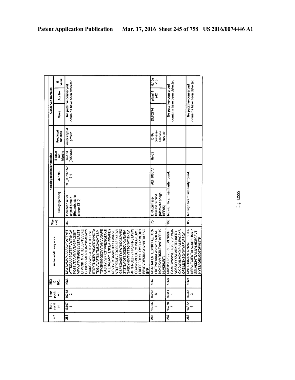 Antibacterial Phage, Phage Peptides And Methods Of Use Thereof - diagram, schematic, and image 246