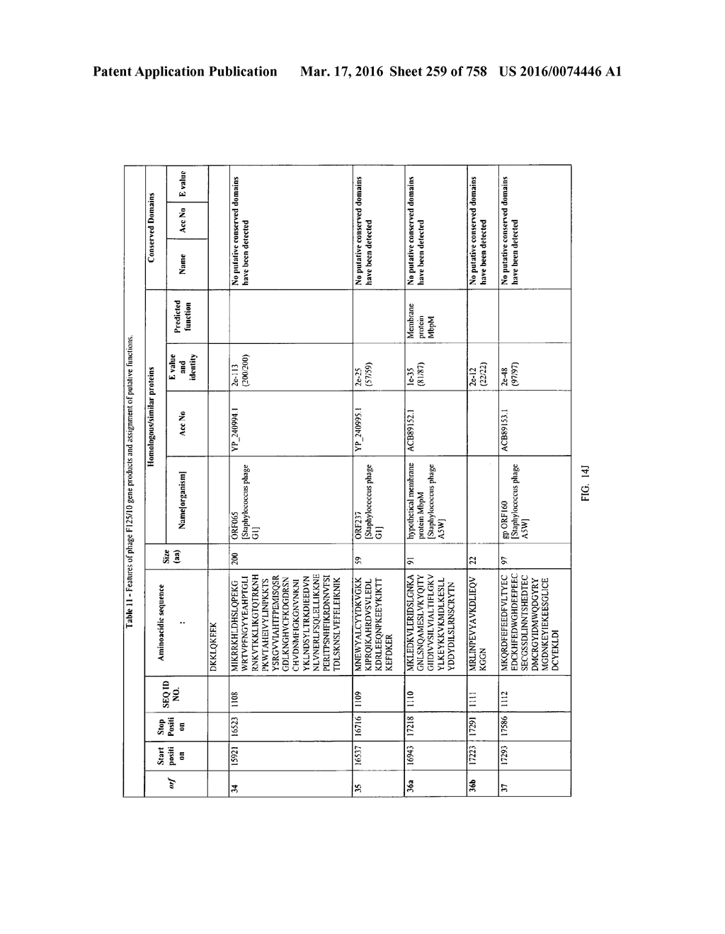 Antibacterial Phage, Phage Peptides And Methods Of Use Thereof - diagram, schematic, and image 260