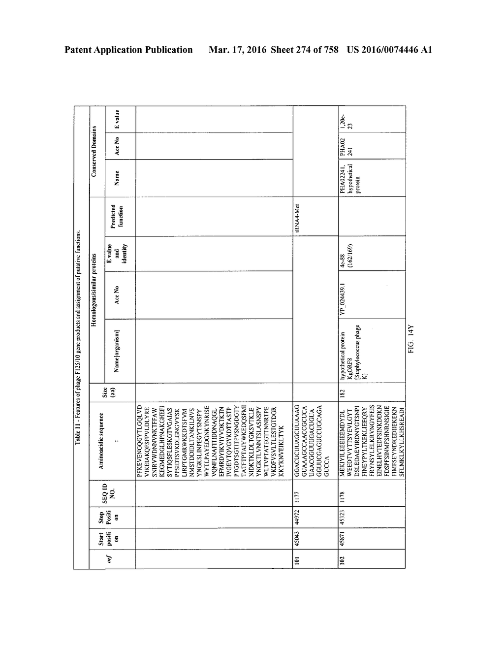 Antibacterial Phage, Phage Peptides And Methods Of Use Thereof - diagram, schematic, and image 275