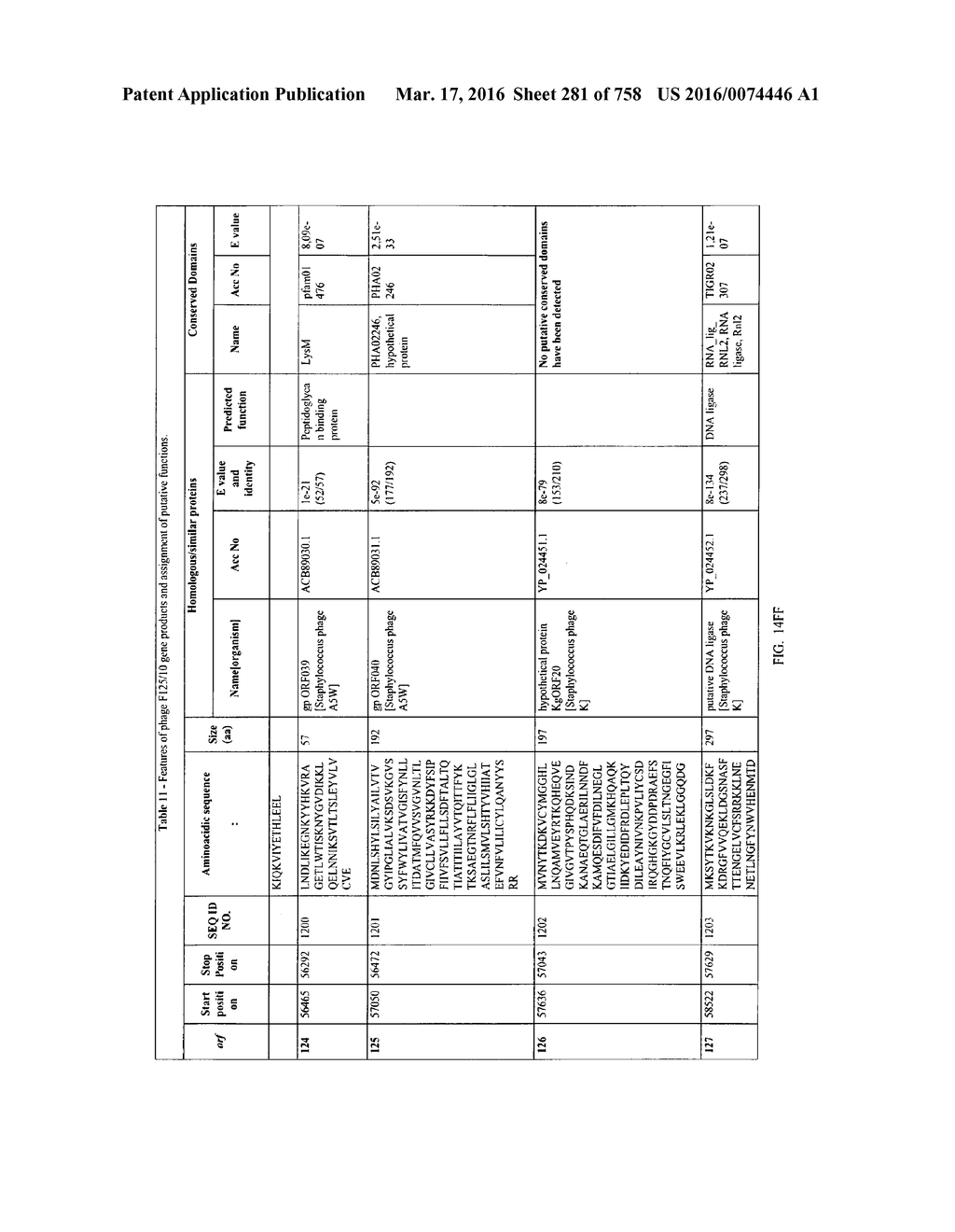 Antibacterial Phage, Phage Peptides And Methods Of Use Thereof - diagram, schematic, and image 282