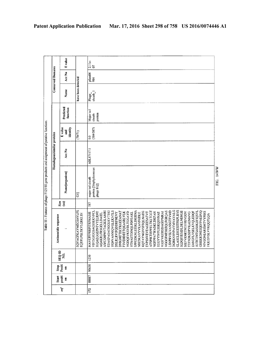 Antibacterial Phage, Phage Peptides And Methods Of Use Thereof - diagram, schematic, and image 299