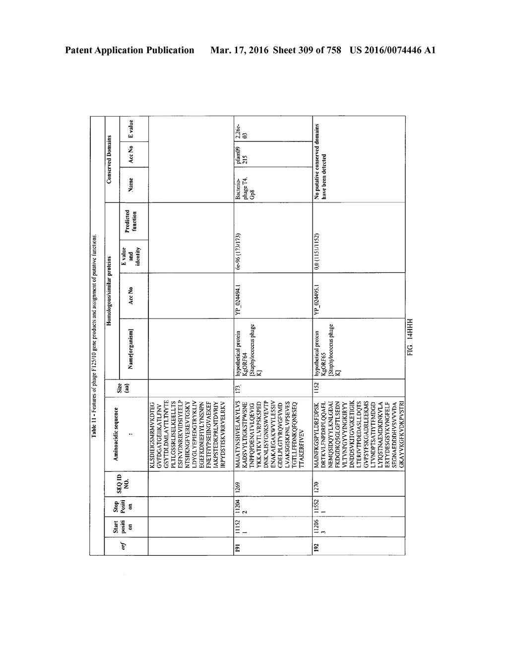 Antibacterial Phage, Phage Peptides And Methods Of Use Thereof - diagram, schematic, and image 310