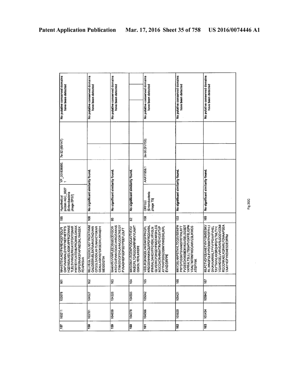 Antibacterial Phage, Phage Peptides And Methods Of Use Thereof - diagram, schematic, and image 36