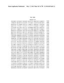 Antibacterial Phage, Phage Peptides And Methods Of Use Thereof diagram and image