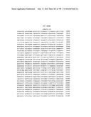 Antibacterial Phage, Phage Peptides And Methods Of Use Thereof diagram and image