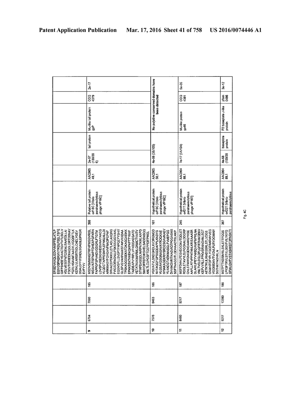 Antibacterial Phage, Phage Peptides And Methods Of Use Thereof - diagram, schematic, and image 42