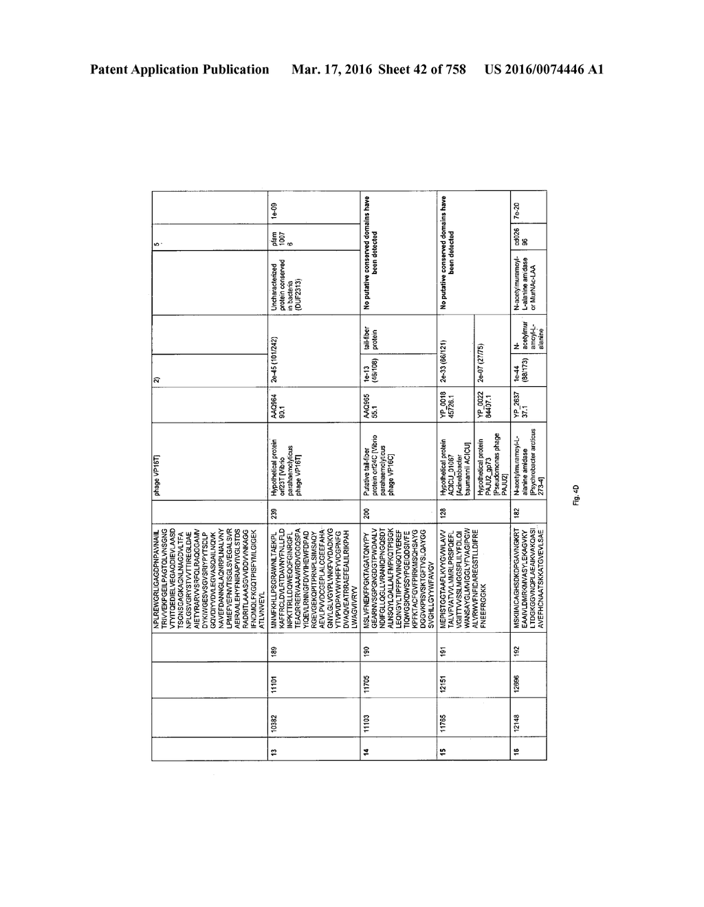 Antibacterial Phage, Phage Peptides And Methods Of Use Thereof - diagram, schematic, and image 43