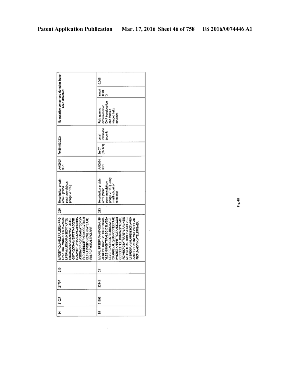 Antibacterial Phage, Phage Peptides And Methods Of Use Thereof - diagram, schematic, and image 47