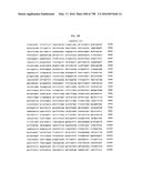 Antibacterial Phage, Phage Peptides And Methods Of Use Thereof diagram and image