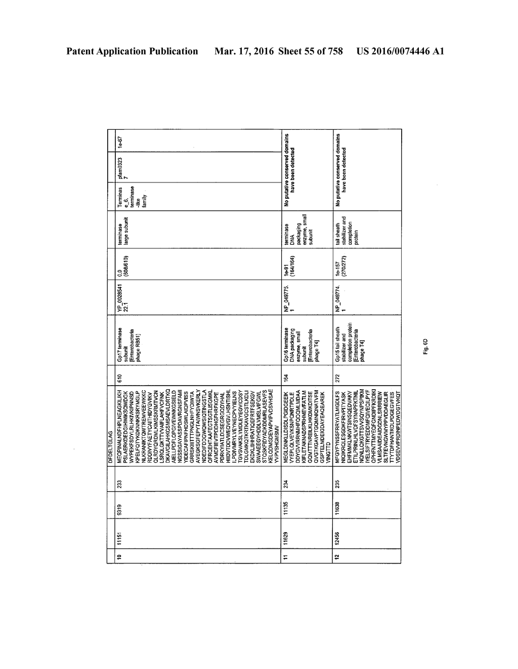 Antibacterial Phage, Phage Peptides And Methods Of Use Thereof - diagram, schematic, and image 56