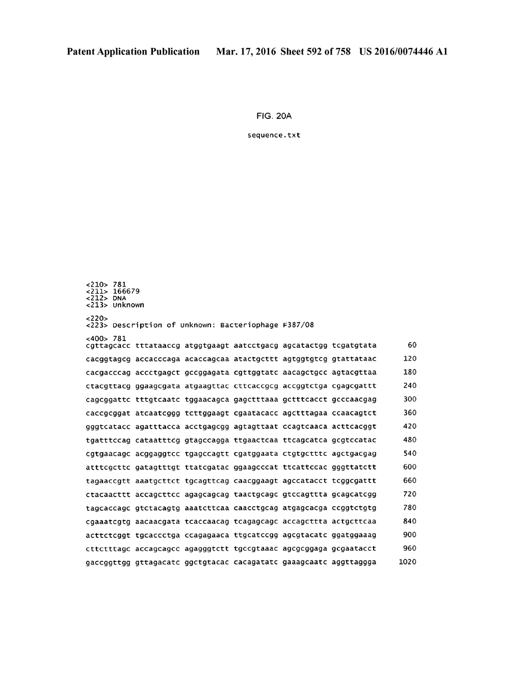 Antibacterial Phage, Phage Peptides And Methods Of Use Thereof - diagram, schematic, and image 593