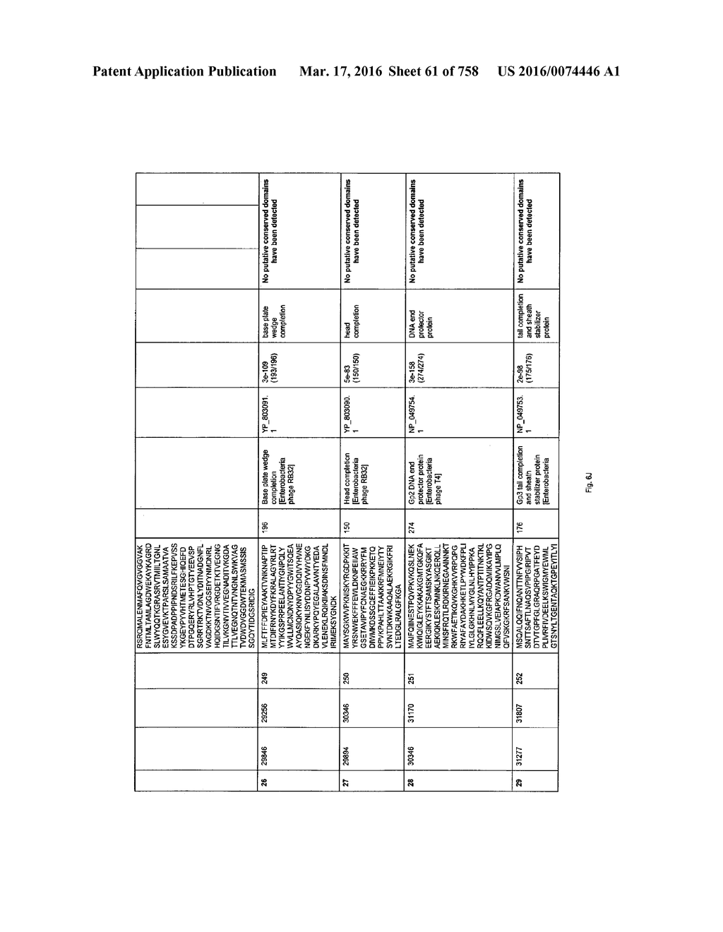 Antibacterial Phage, Phage Peptides And Methods Of Use Thereof - diagram, schematic, and image 62
