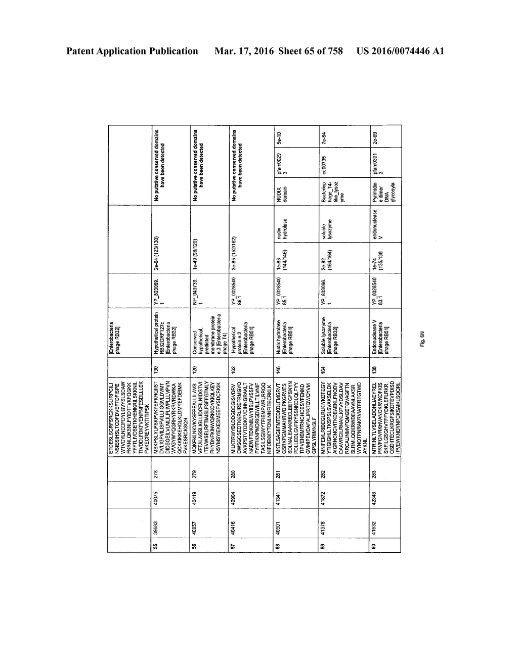 Antibacterial Phage, Phage Peptides And Methods Of Use Thereof - diagram, schematic, and image 66