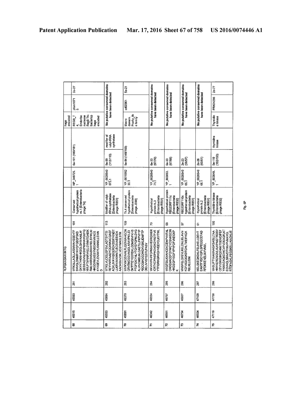 Antibacterial Phage, Phage Peptides And Methods Of Use Thereof - diagram, schematic, and image 68