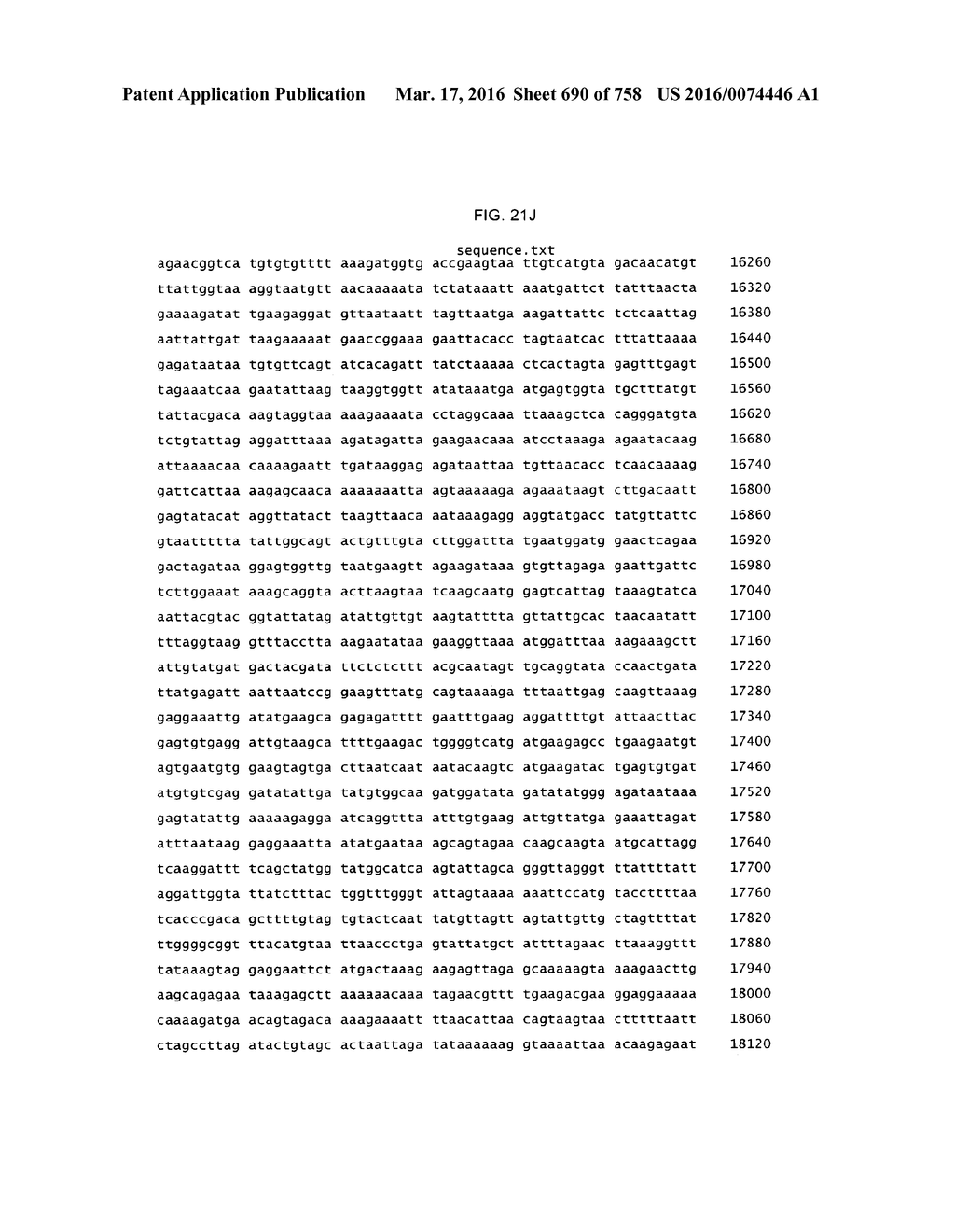 Antibacterial Phage, Phage Peptides And Methods Of Use Thereof - diagram, schematic, and image 691