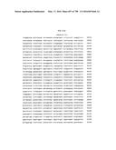 Antibacterial Phage, Phage Peptides And Methods Of Use Thereof diagram and image