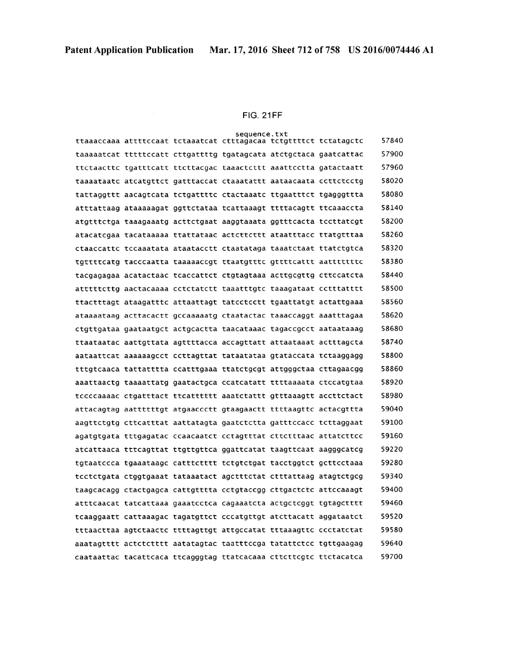 Antibacterial Phage, Phage Peptides And Methods Of Use Thereof - diagram, schematic, and image 713