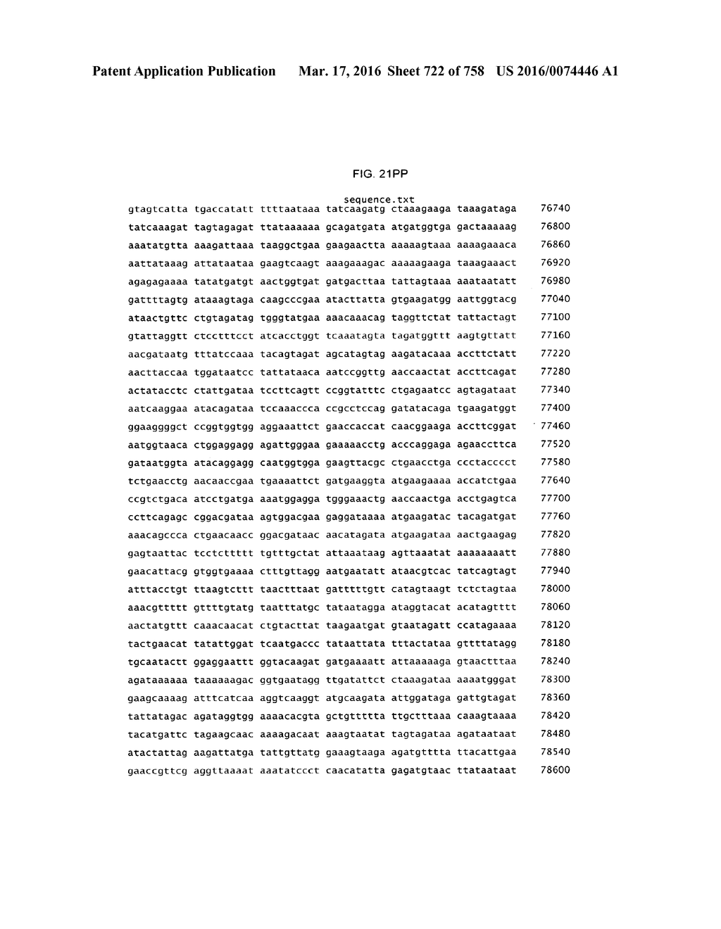 Antibacterial Phage, Phage Peptides And Methods Of Use Thereof - diagram, schematic, and image 723