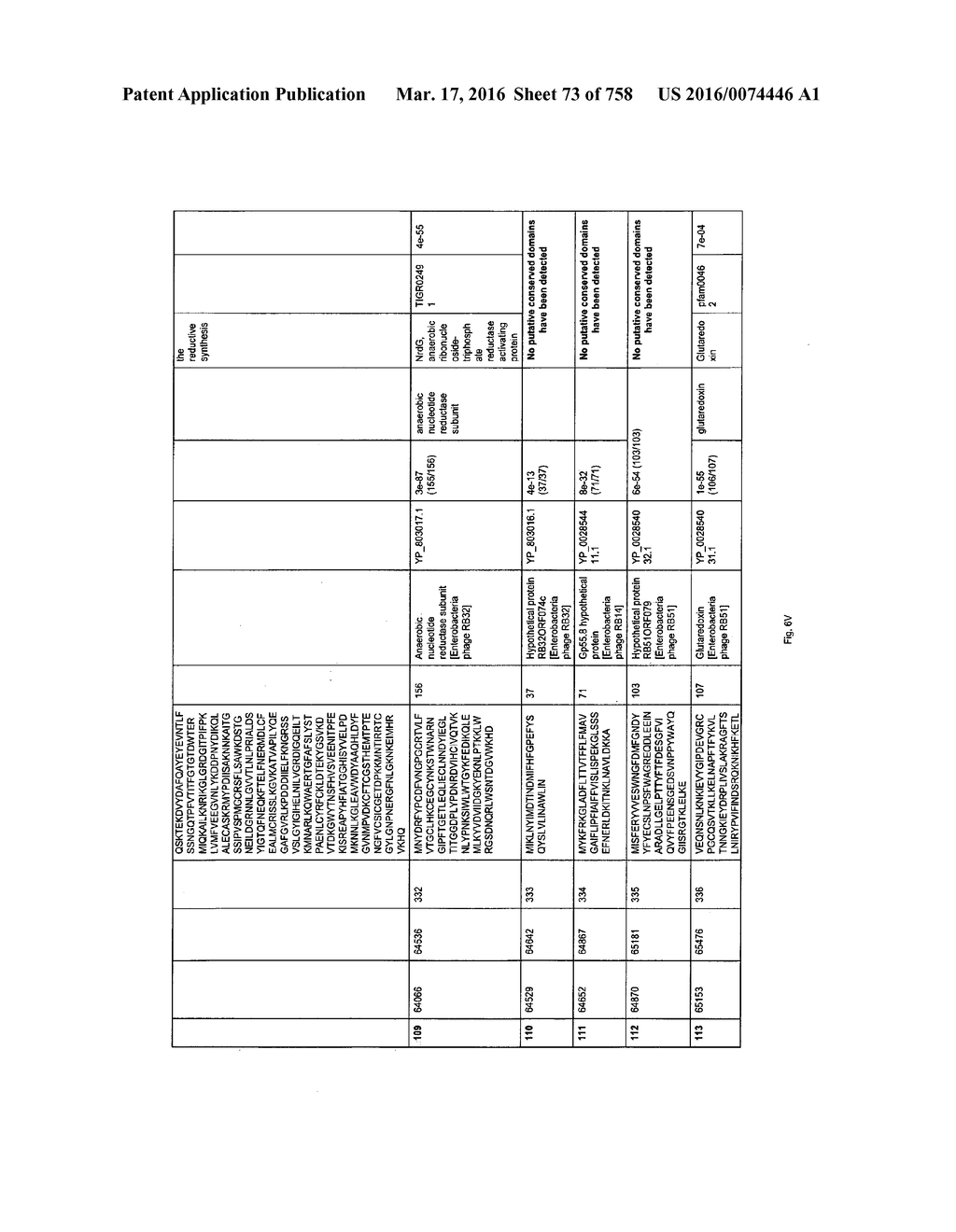 Antibacterial Phage, Phage Peptides And Methods Of Use Thereof - diagram, schematic, and image 74