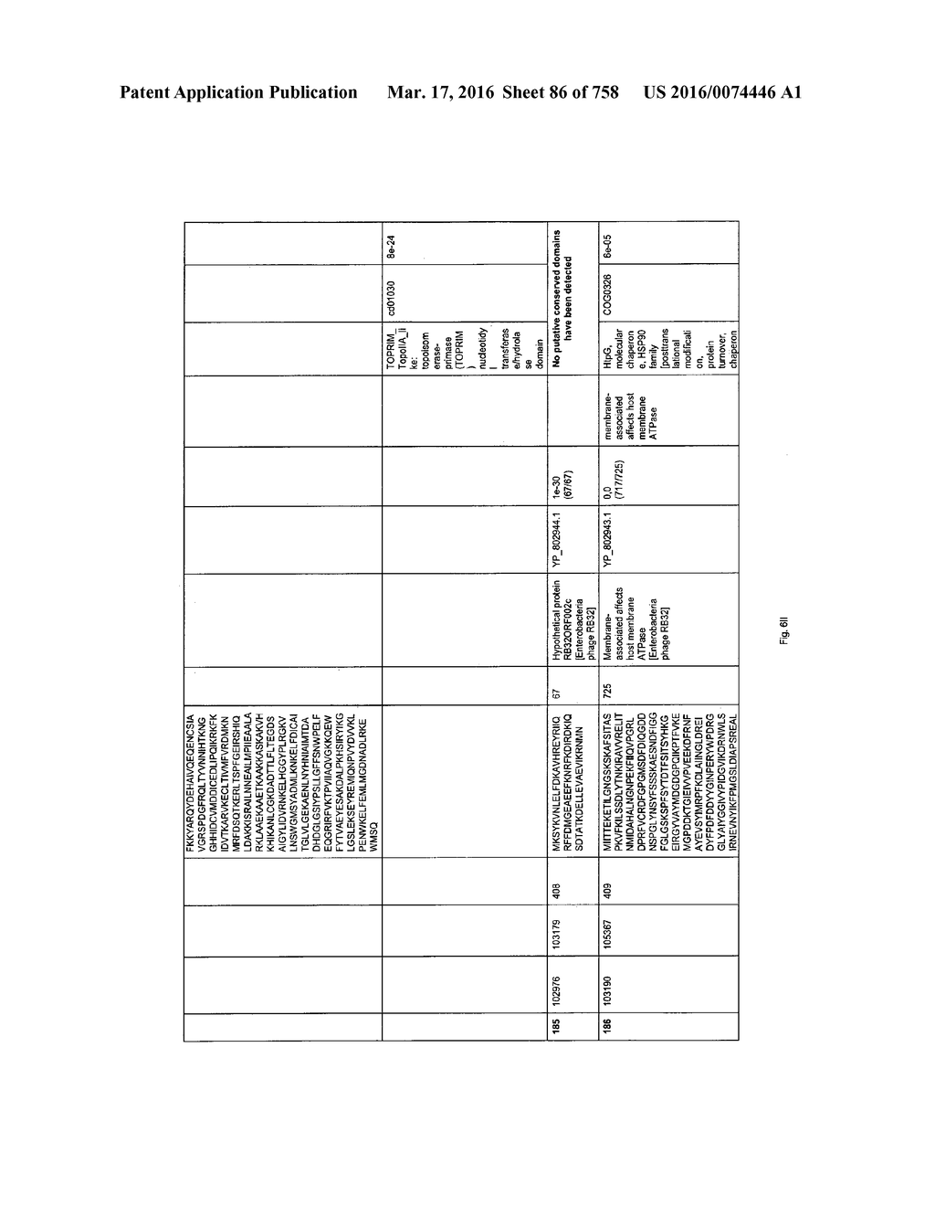 Antibacterial Phage, Phage Peptides And Methods Of Use Thereof - diagram, schematic, and image 87