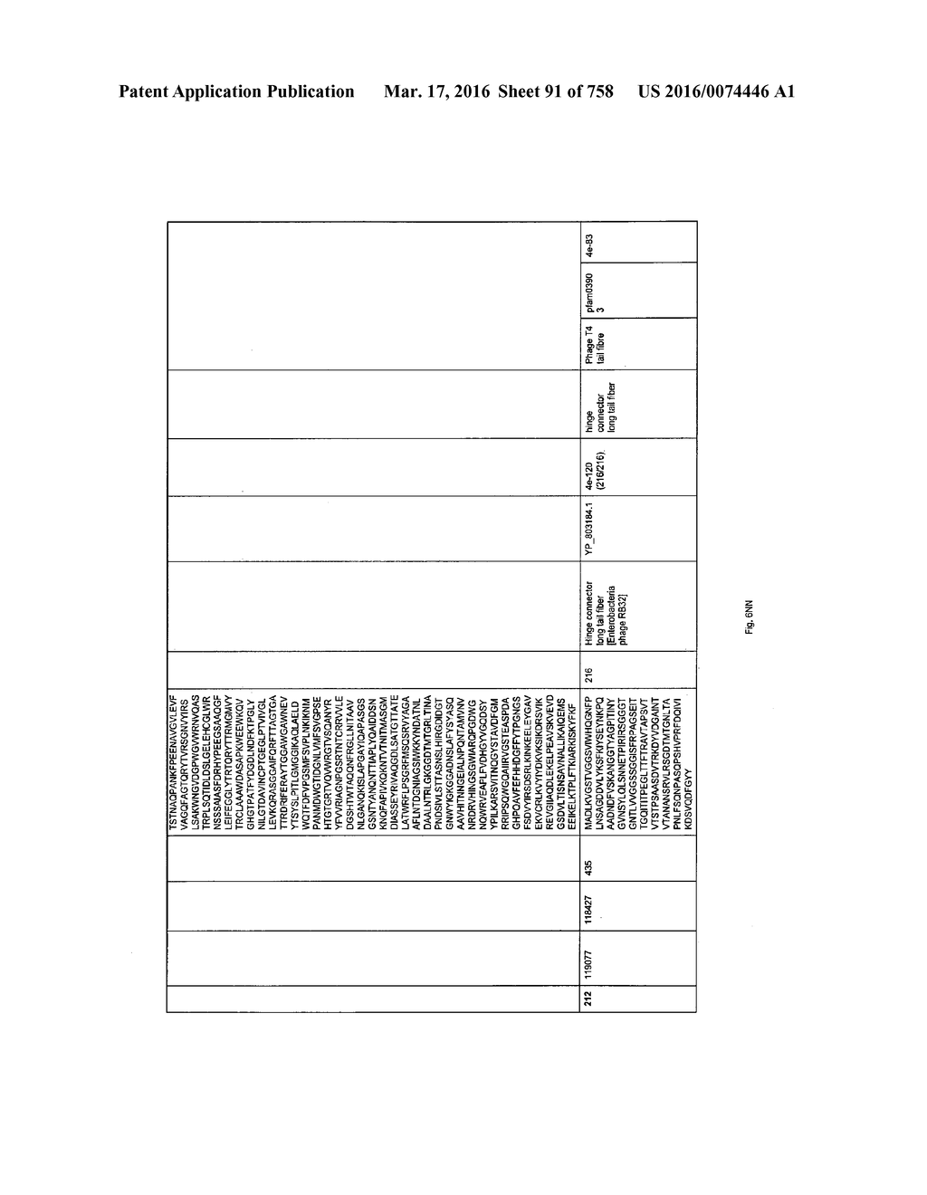 Antibacterial Phage, Phage Peptides And Methods Of Use Thereof - diagram, schematic, and image 92