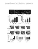 LLP2A-BISPHOSPHONATE CONJUGATES FOR OSTEOPOROSIS TREATMENT diagram and image