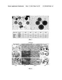 LLP2A-BISPHOSPHONATE CONJUGATES FOR OSTEOPOROSIS TREATMENT diagram and image