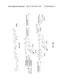 LLP2A-BISPHOSPHONATE CONJUGATES FOR OSTEOPOROSIS TREATMENT diagram and image