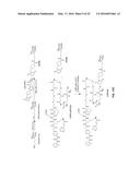 LLP2A-BISPHOSPHONATE CONJUGATES FOR OSTEOPOROSIS TREATMENT diagram and image