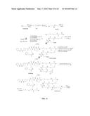 LLP2A-BISPHOSPHONATE CONJUGATES FOR OSTEOPOROSIS TREATMENT diagram and image