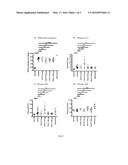 ANGIOTENSINS FOR TREATMENT OF FIBROSIS diagram and image