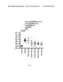 ANGIOTENSINS FOR TREATMENT OF FIBROSIS diagram and image