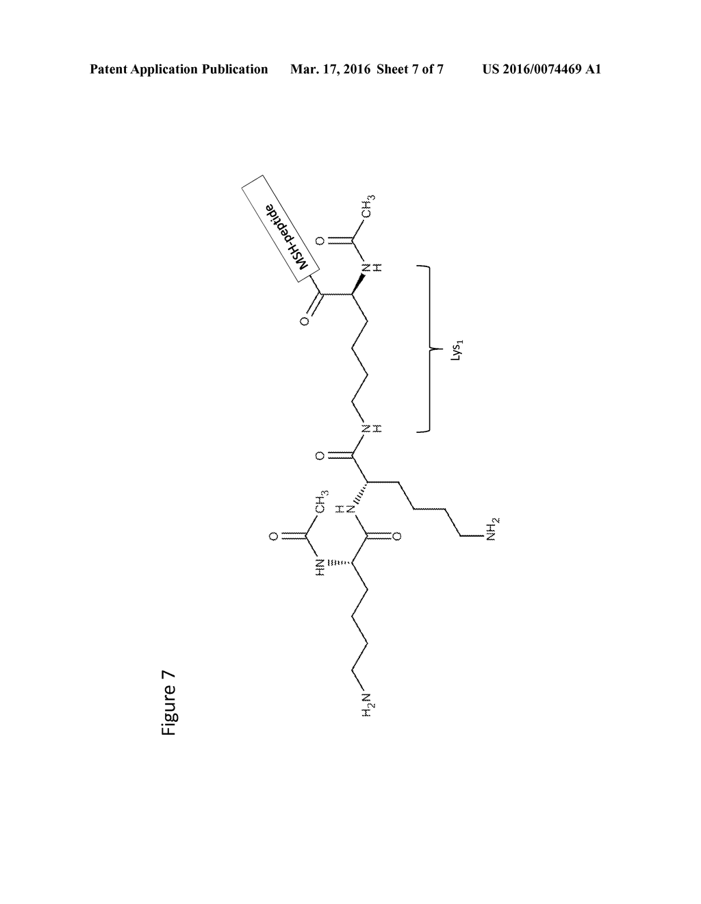 ALPHA-AND GAMMA-MSH ANALOGUES - diagram, schematic, and image 08