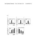 USE OF HUMAN SMALL LEUCINE ZIPPER PROTEIN IN ADIPOCYTE DIFFERENTIATION     PROCEDURE diagram and image