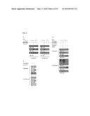 USE OF HUMAN SMALL LEUCINE ZIPPER PROTEIN IN ADIPOCYTE DIFFERENTIATION     PROCEDURE diagram and image