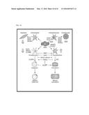 USE OF HUMAN SMALL LEUCINE ZIPPER PROTEIN IN ADIPOCYTE DIFFERENTIATION     PROCEDURE diagram and image