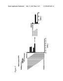 METHODS AND COMPOSITIONS FOR INDUCING AN IMMUNE RESPONSE TO EGFRvIII diagram and image