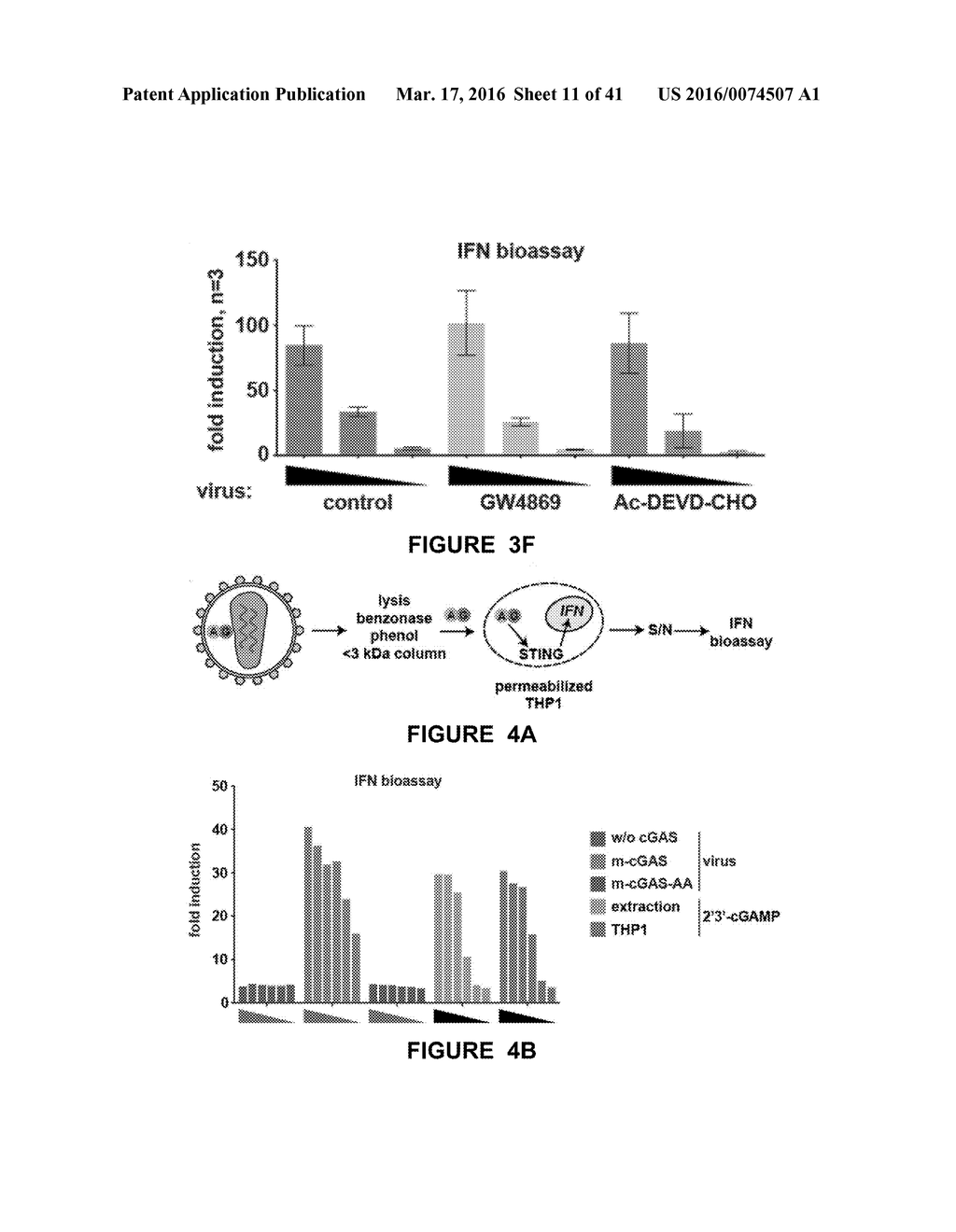 METHOD FOR PREPARING VIRAL PARTICLES WITH CYCLIC DINUCLEOTIDE AND USE OF     SAID PARTICLES FOR INDUCING IMMUNE RESPONSE - diagram, schematic, and image 12