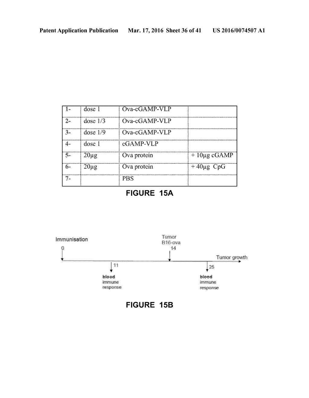 METHOD FOR PREPARING VIRAL PARTICLES WITH CYCLIC DINUCLEOTIDE AND USE OF     SAID PARTICLES FOR INDUCING IMMUNE RESPONSE - diagram, schematic, and image 37