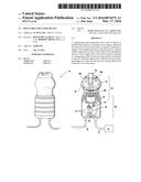 BOLUS DRUG DELIVERY DEVICE diagram and image