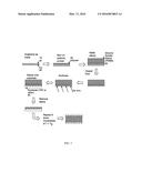 SEPARATION MEMBRANES FORMED FROM PERFORATED GRAPHENE AND METHODS FOR USE     THEREOF diagram and image