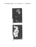 CO CURRENT MIXER, APPARATUS, REACTOR AND METHOD FOR PRECIPITATING     NANOPARTICLES diagram and image