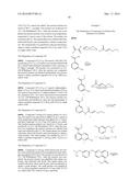 ANTI-ANGIOGENESIS COMPOUND, INTERMEDIATE AND USE THEREOF diagram and image