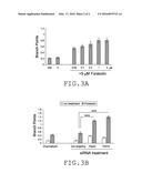 THERAPEUTIC THIOPHENE-, FURAN-, AND PYRIDINE-FUSED     AZOLOPYRIMIDIN-5-(6H)-ONES diagram and image