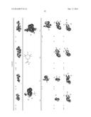 RADICAL ORBITAL SWITCHING diagram and image